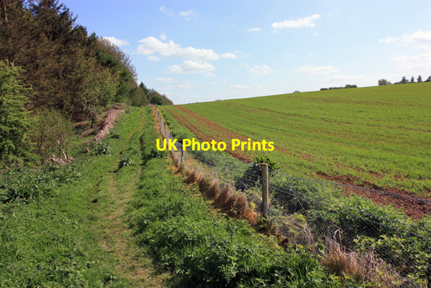 Photo 6"x4" A path beside Gillylees wood Crambeck c2009