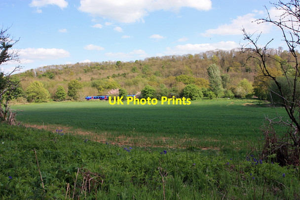 Photo 6"x4" A wheatfield between the path and the line Crambeck c2009