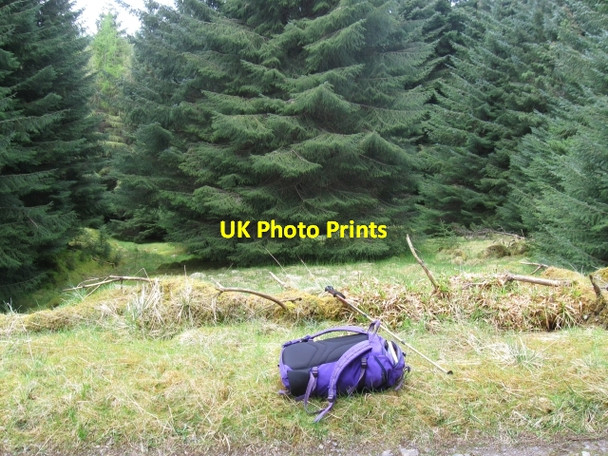 Photo 6"x4" V Small clearing in forestry, below Beinn Bh\u00c3\u00a0n Laggan\/NN2996 c2009