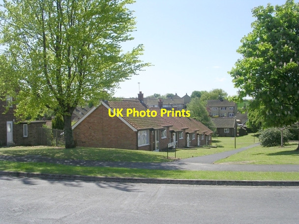 Photo 6"x4" Ash Tree Walk - Woodlands Avenue Tadcaster c2009