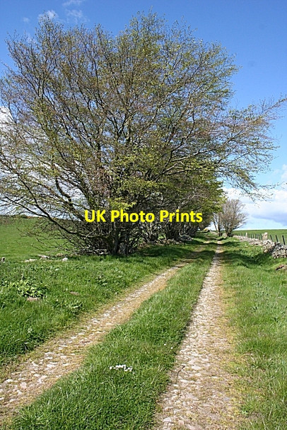 Photo 6"x4" Track Between Mains and Newton of Bruxie Maud c2009