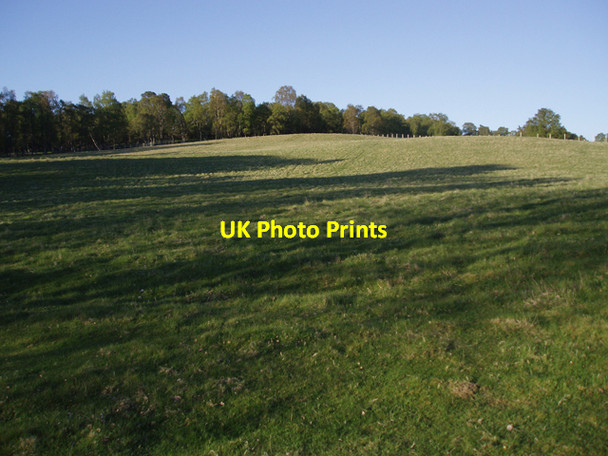 Photo 6"x4" Grass field, Kinrara Estate Alvie c2009