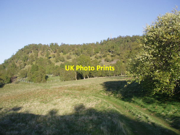 Photo 6"x4" Grassland below Torr Alvie Alvie c2009