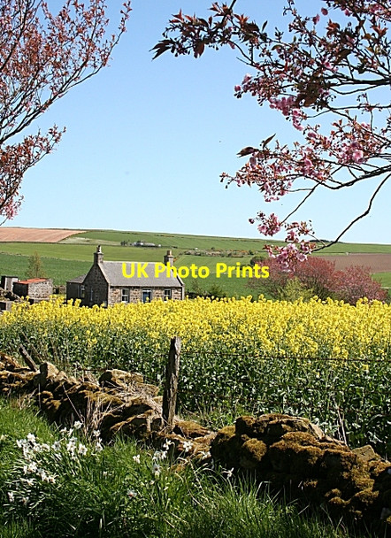 Photo 6"x4" Cottage at Balquhindachy Middlemuir\/NJ8643 c2009