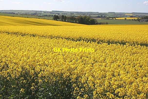 Photo 6"x4" North Middlemuir Middlemuir\/NJ8643 c2009