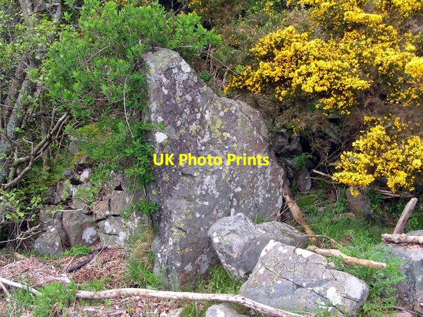 Photo 6"x4" Stone with Benchmark Kippford\/Scaur c2009
