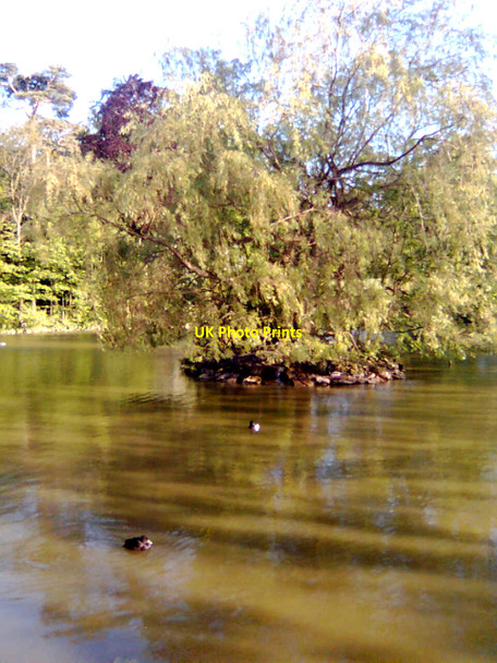 Photo 6"x4" Papworth Hospital Lake & Island Papworth Everard c2009