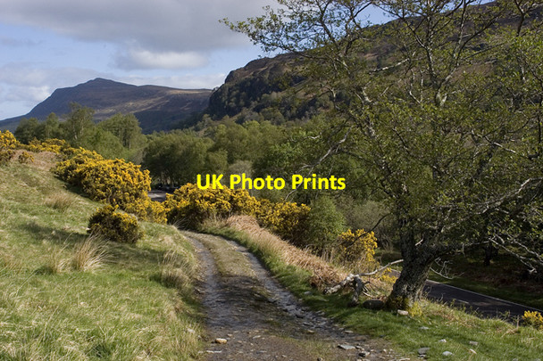 Photo 6"x4" Track to Shenavall Dundonnell c2009