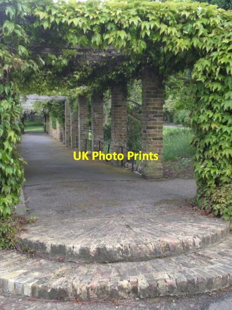 Photo 6"x4" Foliage-covered walkway, Ruskin Park SE5 Brixton\/TQ3175 c2009
