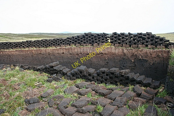 Photo 6"x4" Peat Cuttings Cairinis c2009 P1