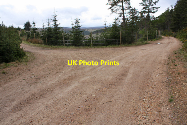 Photo 6"x4" Track junction in plantation Allt nan Seileach\/NJ2117 c2009