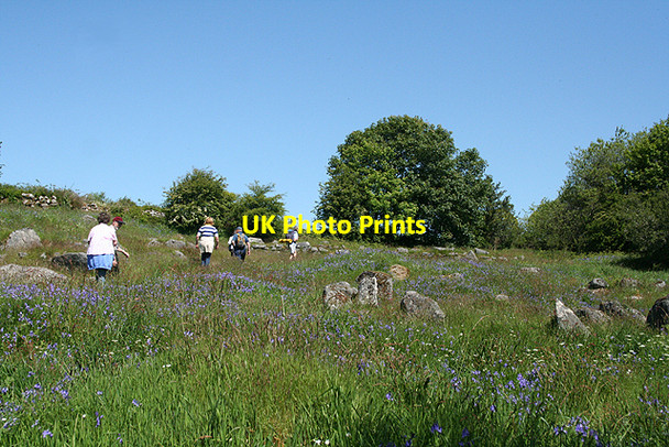 Photo 6"x4" Widecombe in the Moor: Hutholes Higher Dunstone c2009
