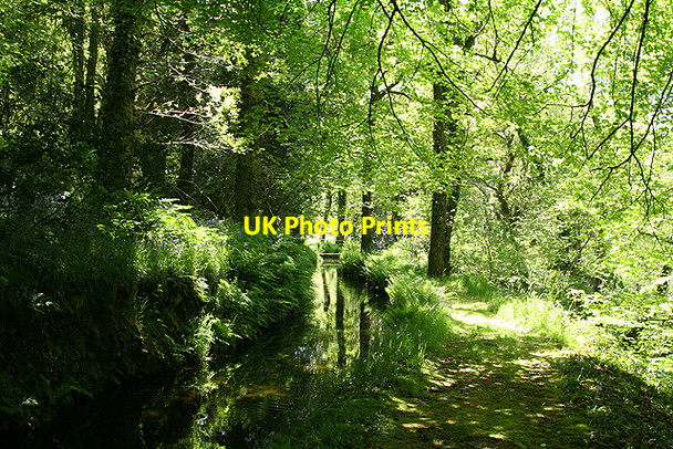 Photo 6"x4" Widecombe in the Moor: Old Walls leat 2 Higher Dunstone c2009