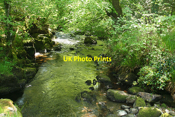 Photo 6"x4" Widecombe in the Moor: West Webburn Higher Dunstone c2009