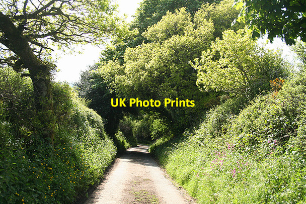 Photo 6"x4" Moretonhampstead: old way to the town Doccombe c2009