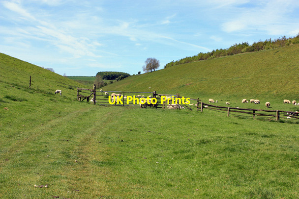 Photo 6"x4" The Chalkland Way ascends Thixen Dale Thixendale c2009