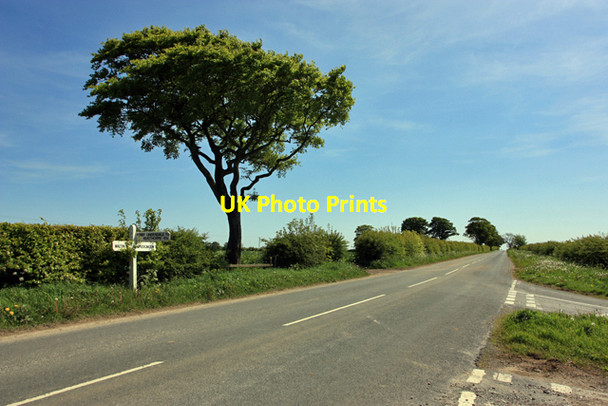 Photo 6"x4" The Roman Road, The Bence Painsthorpe c2009