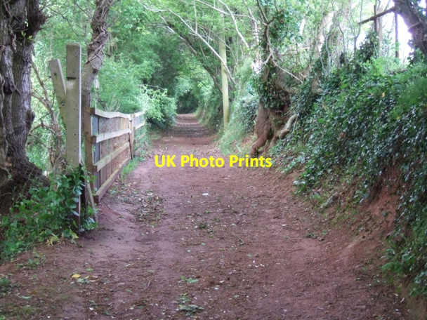 Photo 6"x4" Hambeer Lane, Exeter Exeter c2009