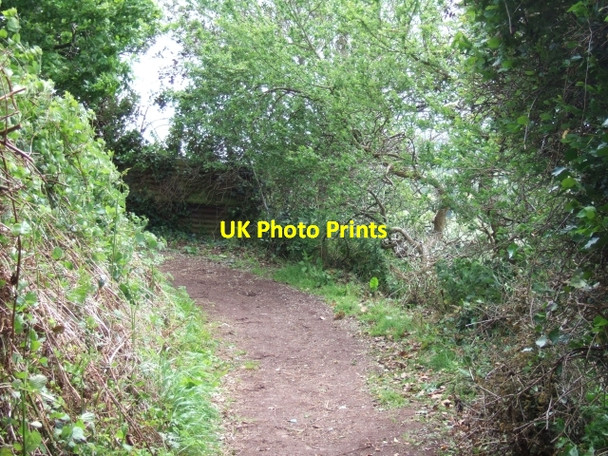 Photo 6"x4" Hambeer Lane, Exeter Exeter c2009 P1