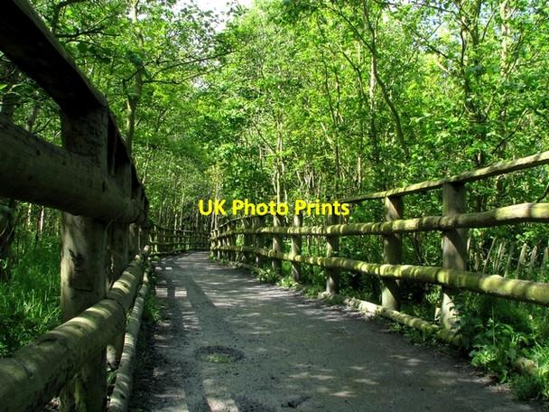 Photo 6"x4" Path, Stormont Park Dundonald\/J4174 c2009