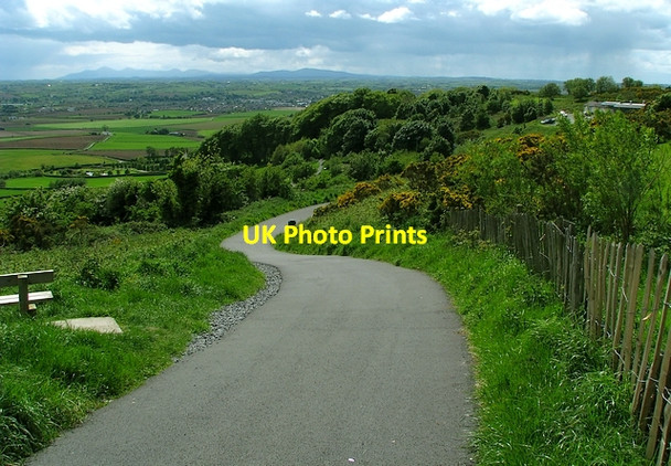Photo 6"x4" Path to Scrabo Newtownards c2009