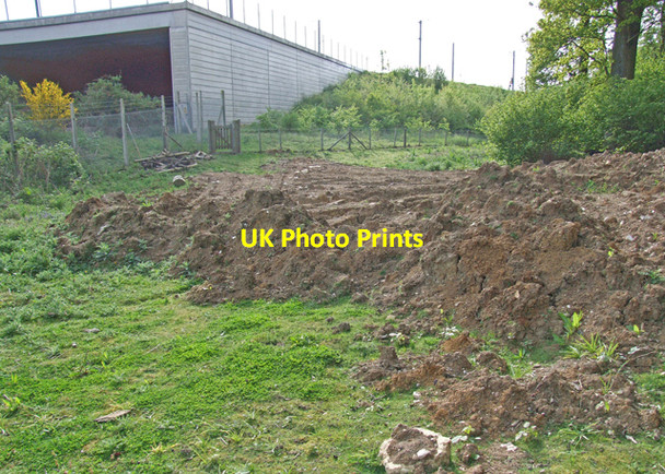 Photo 6"x4" Edge of the wood Broad Street\/TQ8356 c2009