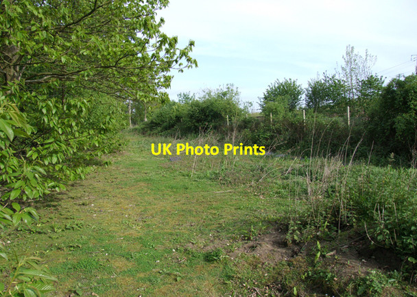 Photo 6"x4" Edge of the wood Broad Street\/TQ8356 c2009 P1