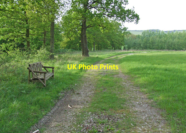Photo 6"x4" Edge of the wood Broad Street\/TQ8356 c2009