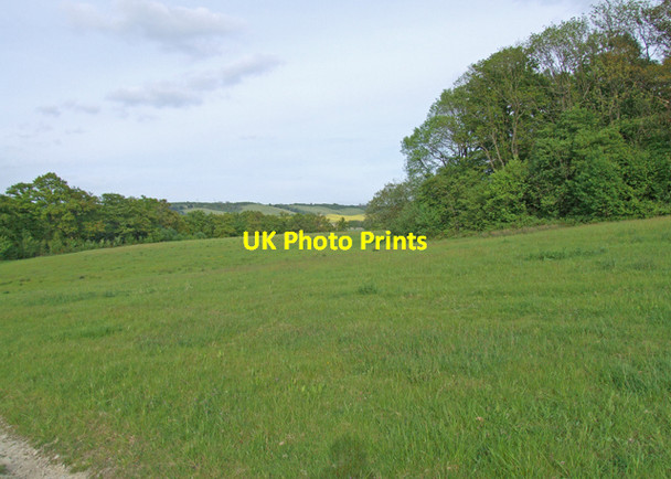 Photo 6"x4" Edge of the wood Broad Street\/TQ8356 c2009 P1