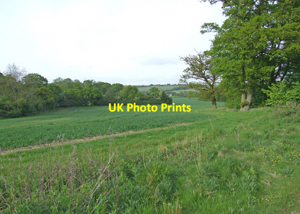 Photo 6"x4" Edge of the wood Broad Street\/TQ8356 c2009 P2