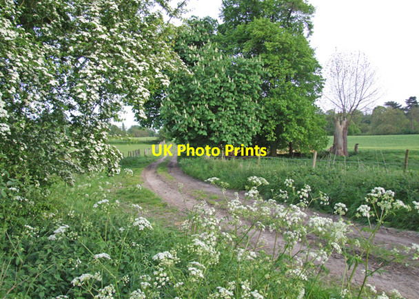 Photo 6"x4" Farm track Bearsted c2009