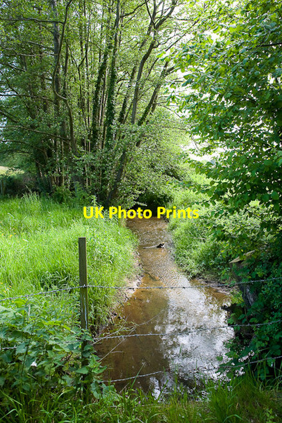 Photo 6"x4" Stream through Blundell's Copse Durley\/SU5116 c2009