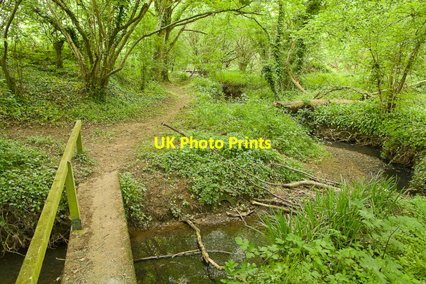 Photo 6"x4" Stream in Blundell's Copse Durley\/SU5116 c2009