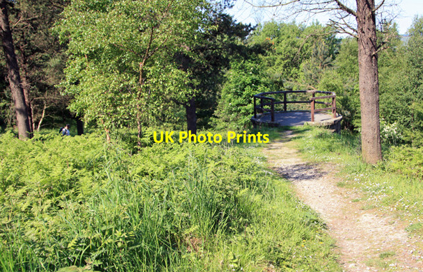 Photo 6"x4" Observation platform, Newgate Bank Hawnby c2009