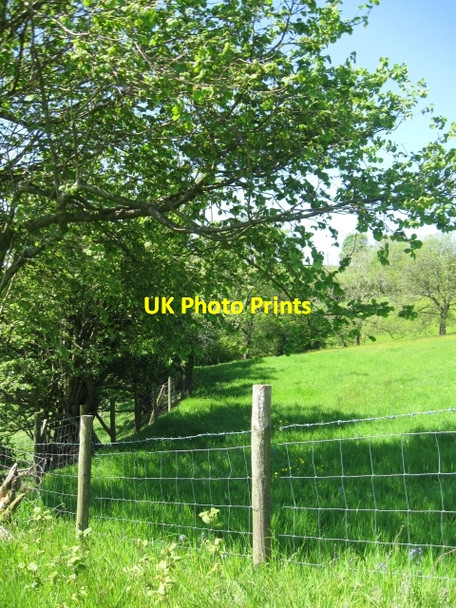 Photo 6"x4" Field edge\/corner scene Talsarn\/SN7726 c2009