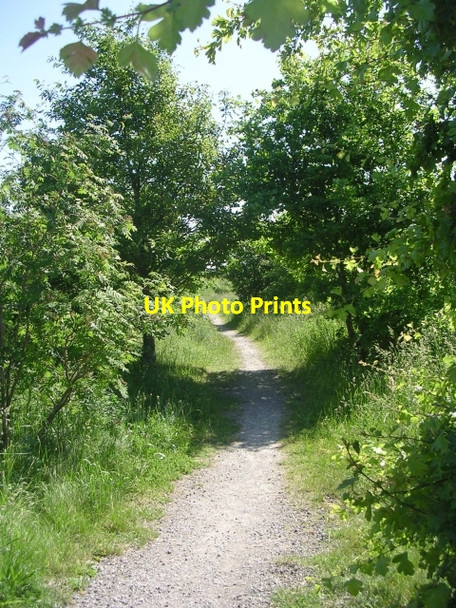 Photo 6"x4" Footpath - Fitzwilliam Country Park - viewed from Wentworth Terrace Hemsworth\/SE4213 c2009