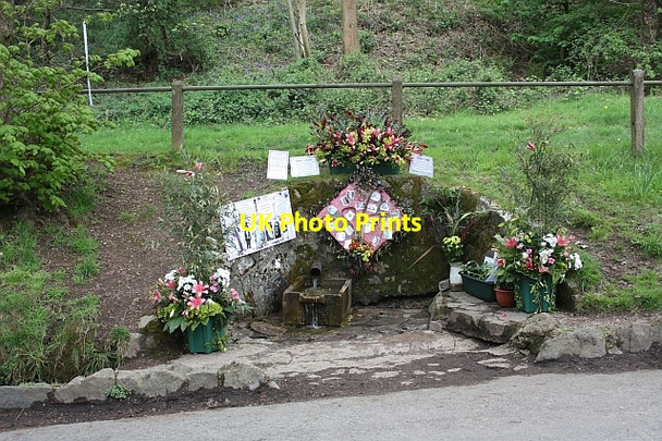 Photo 6"x4" Evendine Spring - Well Dressing 2009 Brand Green\/SO7641 c2009
