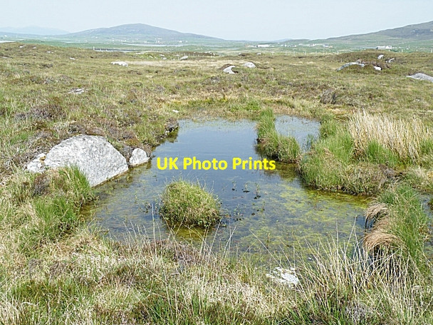 Photo 6"x4" Boggy Pool Greinetobht c2009