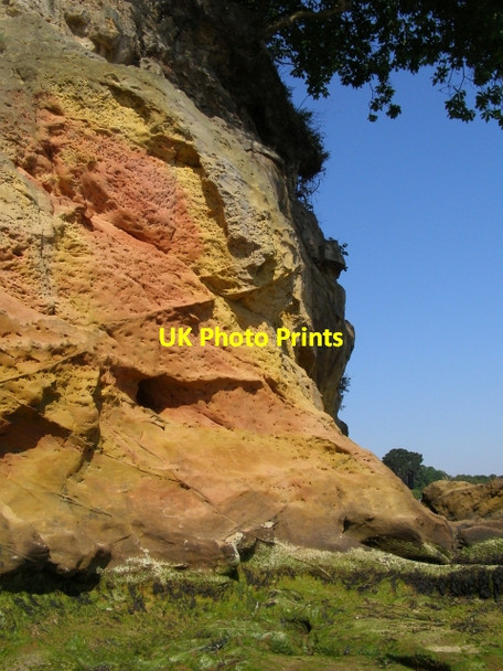 Photo 6"x4" Redend Point cliff Studland c2009