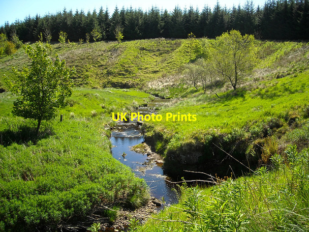 Photo 6"x4" Pogiven Burn Glen Water\/NS5741 c2009