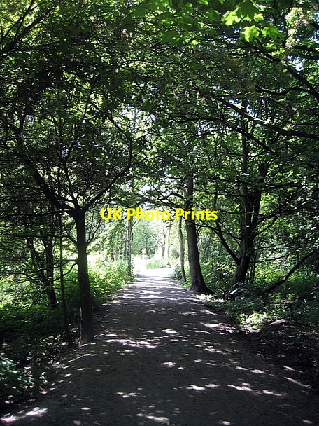 Photo 6"x4" Stanley Marsh Nature Reserve Stanley\/SE3424 c2009