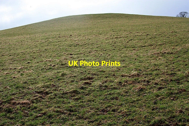 Photo 6"x4" Hill pasture, Ullingswick Haven\/SO5849 c2009