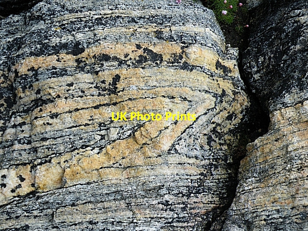 Photo 6"x4" Folded Gneiss Balmartin c2009