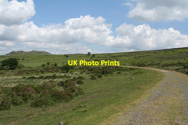 Photo 6"x4" Walkhampton: towards Ingra Tor Sampford Spiney c2009