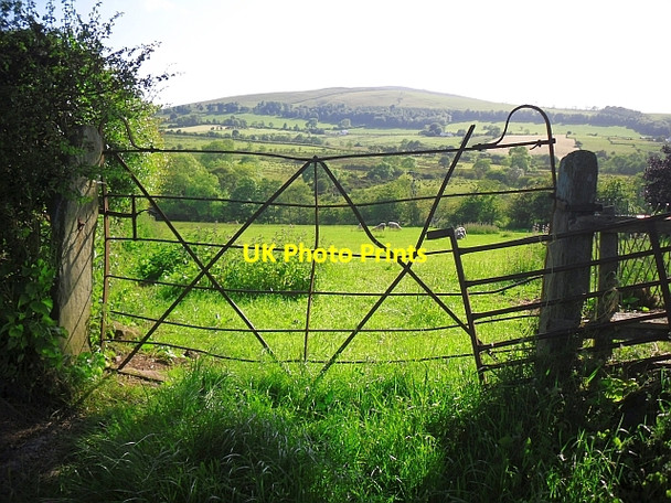 Photo 6"x4" Field with a quirky gate Uldale\/NY2436 c2009