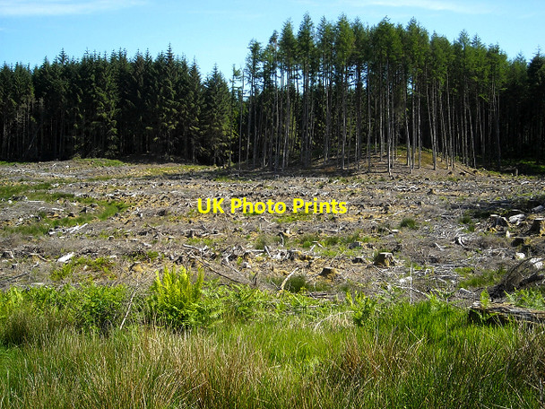 Photo 6"x4" Glentrool Forest Glentrool Village c2009