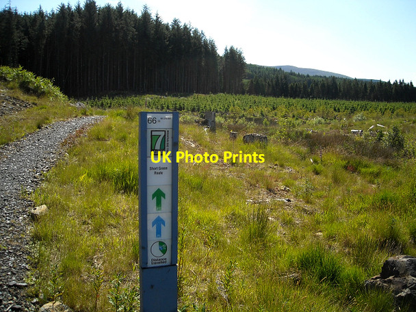 Photo 6"x4" Cycle Trail in Glentrool Forest Glentrool Village c2009