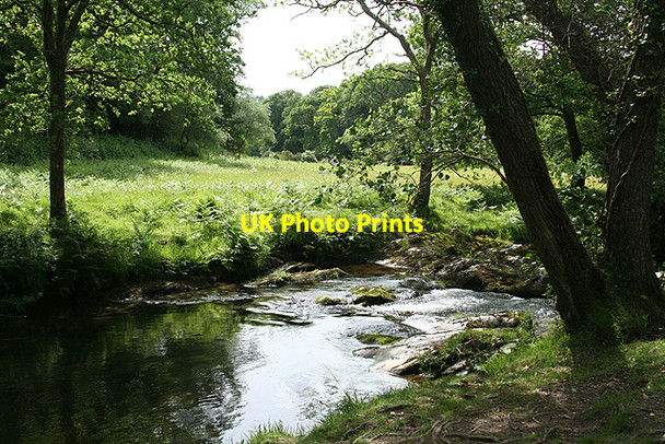 Photo 6"x4" Whitchurch: Lower Walkham Valley 3 Grenofen c2009