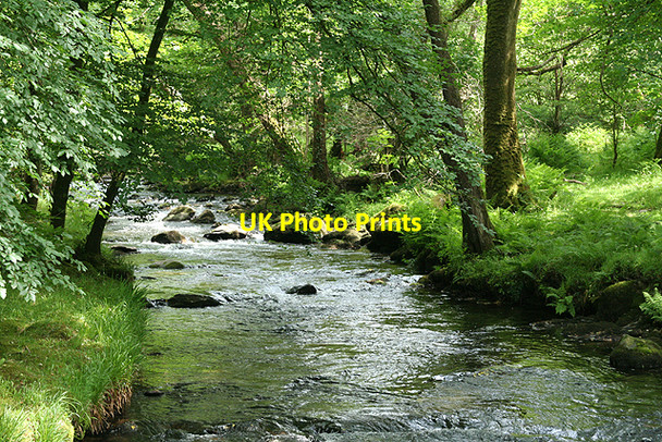 Photo 6"x4" Whitchurch: river Walkham Buckland Monachorum c2009