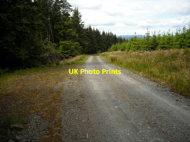 Photo 6"x4" Track in Glentrool Forest Pulniskie Burn c2009